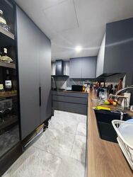 Riversound Residence (D19), Condominium #518458951